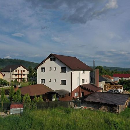 Pensiunea Lacul Albesti Albestii Paminteni 외부 사진