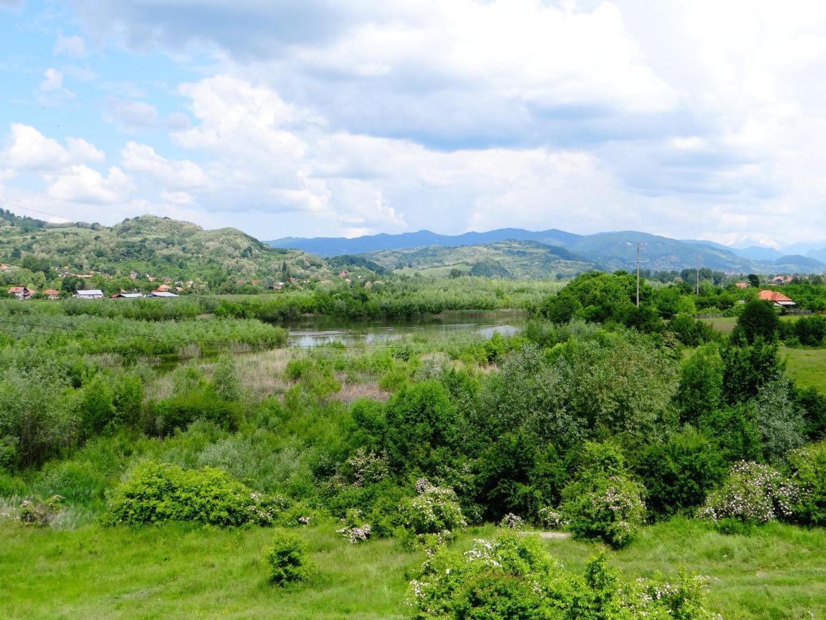 Pensiunea Lacul Albesti Albestii Paminteni 외부 사진