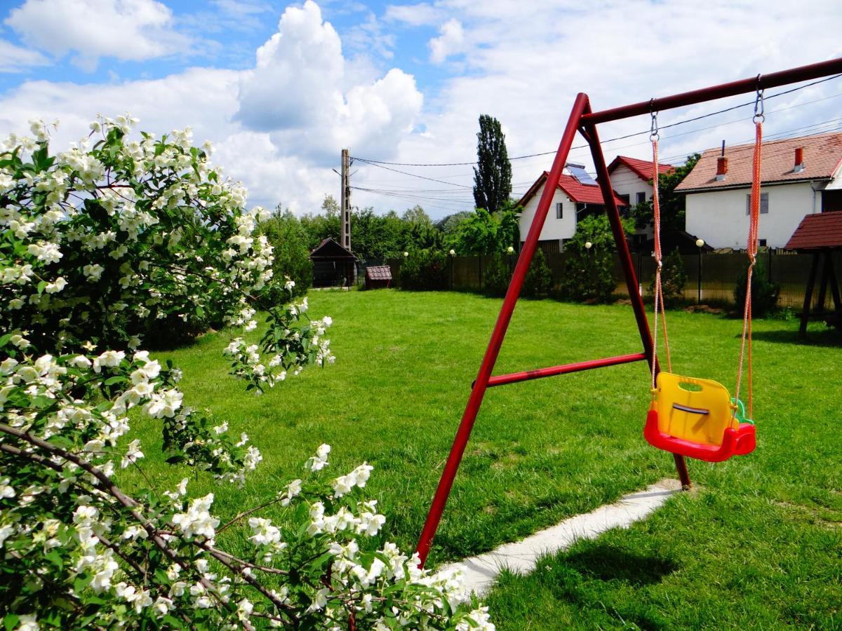 Pensiunea Lacul Albesti Albestii Paminteni 외부 사진