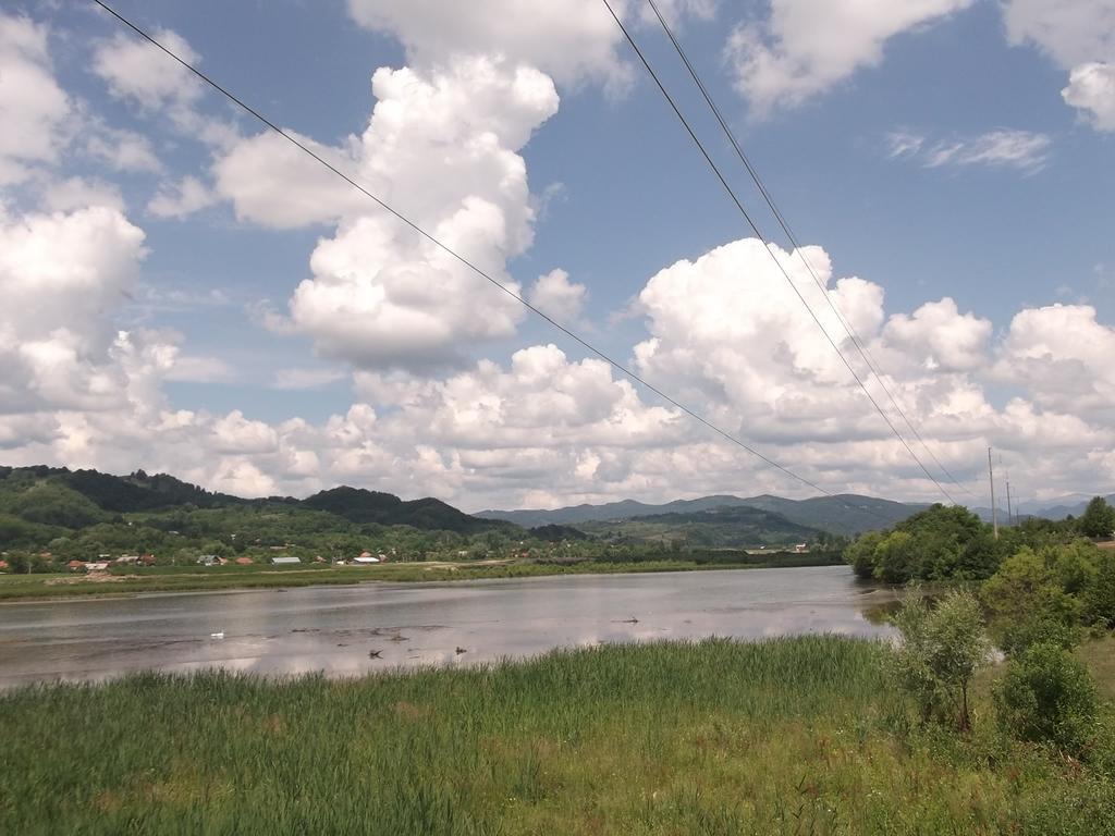 Pensiunea Lacul Albesti Albestii Paminteni 외부 사진