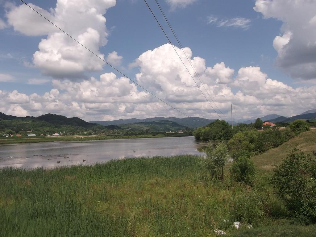Pensiunea Lacul Albesti Albestii Paminteni 외부 사진